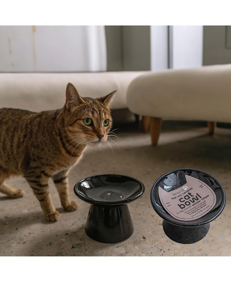 Dexypaws Flat Top Cat Bowl: Black