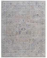 Feizy Pasha 39m5f Rug Collection