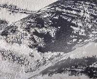 Feizy Prasad 39N9F 5'x8' Area Rug