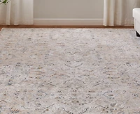 Feizy Pasha 39M6F 6'7"x9'6" Area Rug
