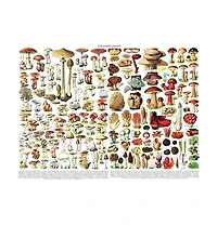 New York Puzzle Company Mushrooms Champignons 1000 Piece Puzzle
