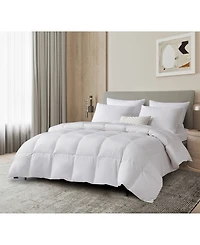 Beautyrest Feather and Down Fiber Comforter, Full/Queen