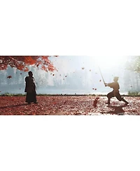 Sony Playstation Ghost of Tsushima Director's Cut for PlayStation 4