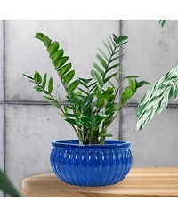 Sunnydaze Decor Ceramic Ribbed Planter Bowl - Imperial Blue - 14.5" Round