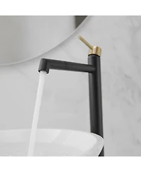 Greenspring Single Hole Handle Bathroom Vessel Sink Faucet With Supply Hose Black Gold