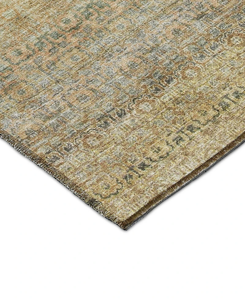 Dalyn Burano Washable BU12 10'x14' Area Rug