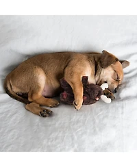 Nocciola Fuzzwoof Moose Dog Toy, Plush Stuffed Animal Pal Ideal Comfort & Anxiety Relief Toy-l