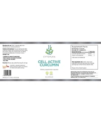 Cytoplan Cell-Active Curcumin Plus 60 (caps) Usa