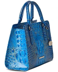 Brahmin Cami Melbourne Satchel