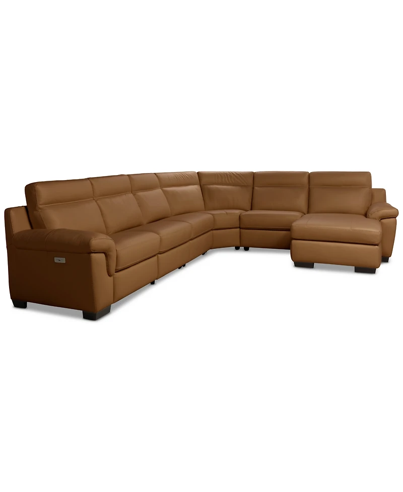 Julius Ii -Pc. Leather Chaise Sectional with 1 Power Recliner
