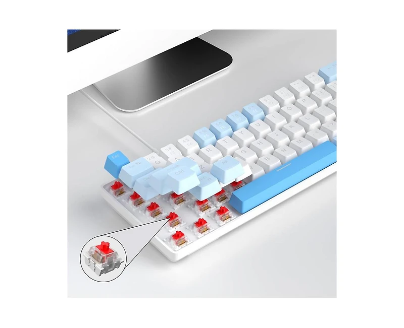 risokeys Portable 60% Mechanical Gaming Keyboard, Backlit Compact 68 Keys Mini Wired Office Keyboard with Red Switch for Windows Laptop Pc Mac