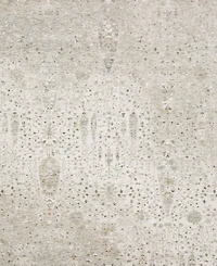 Oriental Weavers Avalon AVA01 7'10"x10'2" Area Rug