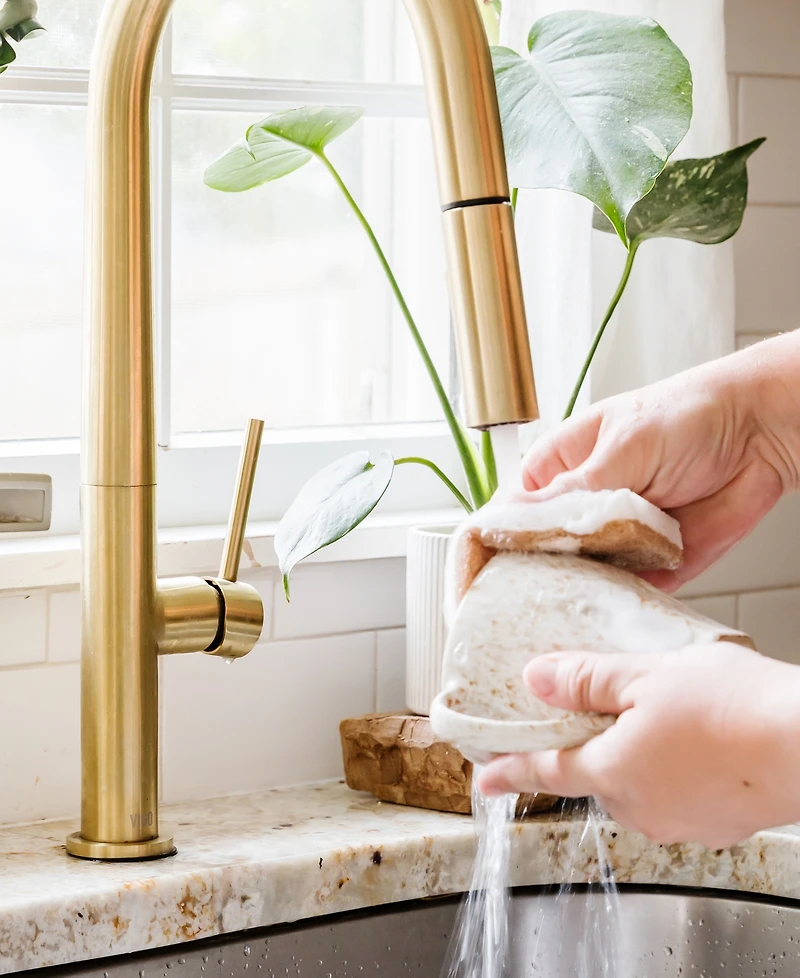 Full Circle 6-Pc. Nutcase Mixed Scrubber Sponges