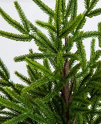Nearly Natural 22" Artificial Real Touch Norfolk Island Pine Decorative Planter