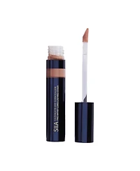 Ultimate Fit Concealer