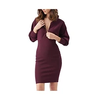 Ripe Maternity Maternity Ripe Zip Knit Nursing Dress