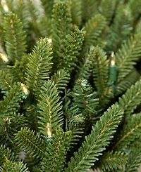 Balsam Hill 10 ft Fraser Fir Pre-Lit Garland