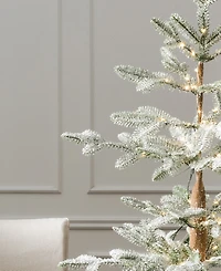 Balsam Hill 3 ft Frosted Alpine Balsam Fir Pre-Lit Tabletop Tree