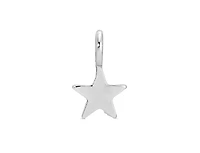 Luckey Feather Charm Garden - Silver