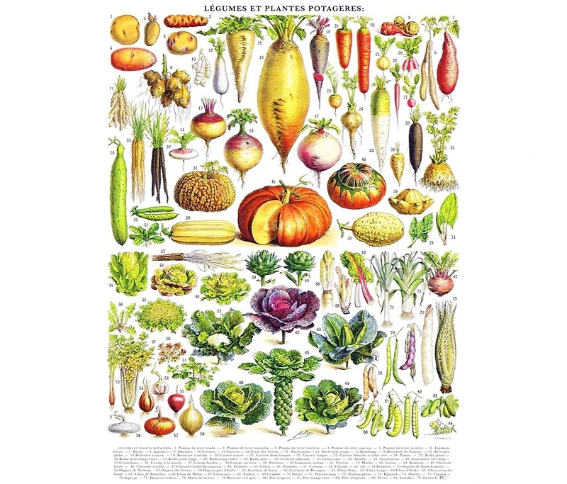 New York Puzzle Company Vegetables Legumes 1000 Piece Puzzle