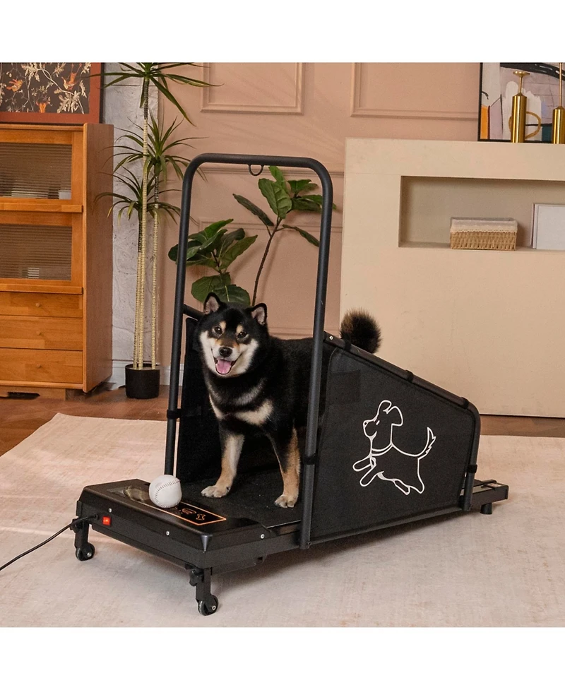 Streamdale Furniture Dog Pacer Treadmill - Medium Dogs