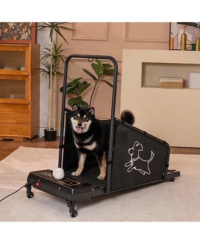 Streamdale Furniture Dog Pacer Treadmill - Medium Dogs