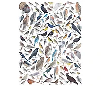 New York Puzzle Company Birds of Western North America 1000 Piece Puzzle