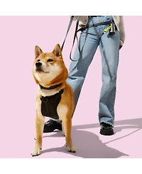 The Licker Store, Luna 8FT Adjustable 6-in-1 Waterproof Hands-Free Leash and Collar with Led Flashlight, Bag Dispenser