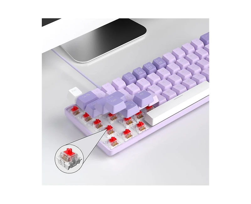 risokeys Portable 60% Mechanical Gaming Keyboard, Mk-Box Led White Backlit Compact 68 Keys Mini Wired Office Keyboard with Red Switch for Windows Lapt