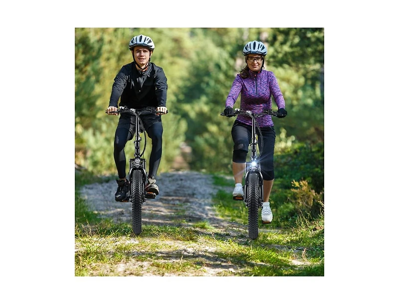 Hitway Folding Electric Bicycle for Adults with 20-Inch Fat Tires Snow E-Bike