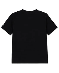 Jordan Toddler and Little Boys Distressed Chrome T-Shirt