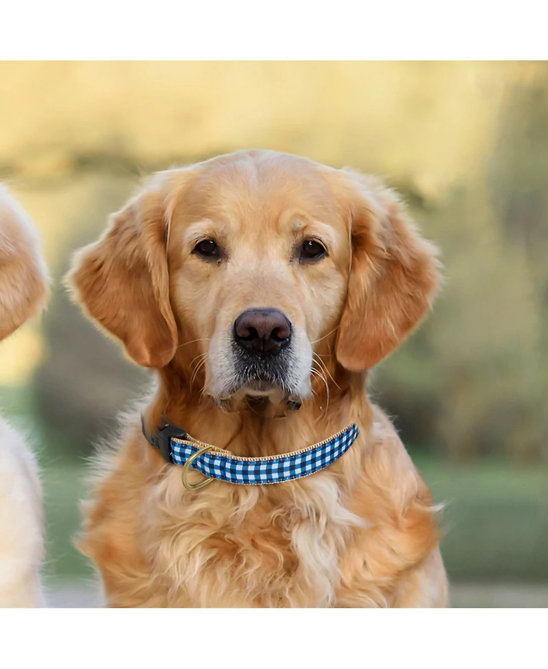Up Country Navy Gingham Dog Lead
