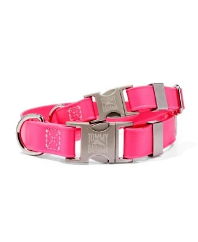 Tommy Bahama Pet Collar Pink Large
