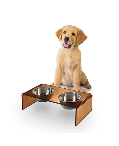 Keaton Modern Acrylic Rectangular Elevated Pet Feeder with 2-Stainless Steel Bowls