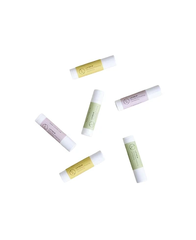 Lizush Natural Unscented Lip Balm Set