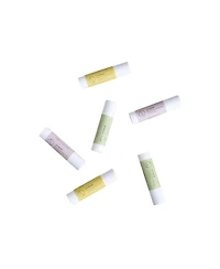 Lizush Natural Unscented Lip Balm Set