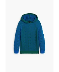 Desigual Boys's Blue hooded sweater