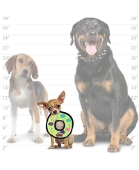 Tuffy Holiday Jr Ring Egg , Dog Toy