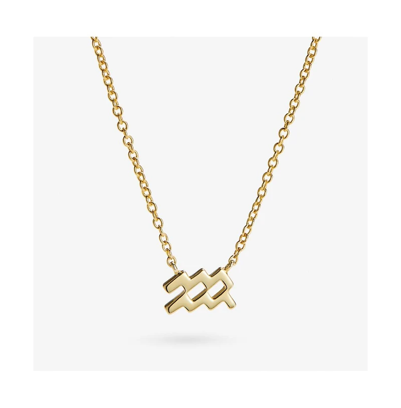 Ana Luisa Zodiac Necklace