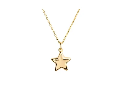 Little Sky Stone 14K Gold Plated Puffy Star Charm Necklace