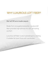 C&C California 2-Pack Pillow Set, Standard