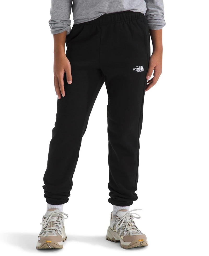 The North Face Big Boys Teen Evolution Pants