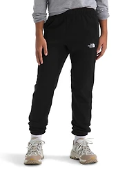 The North Face Big Boys Teen Evolution Pants