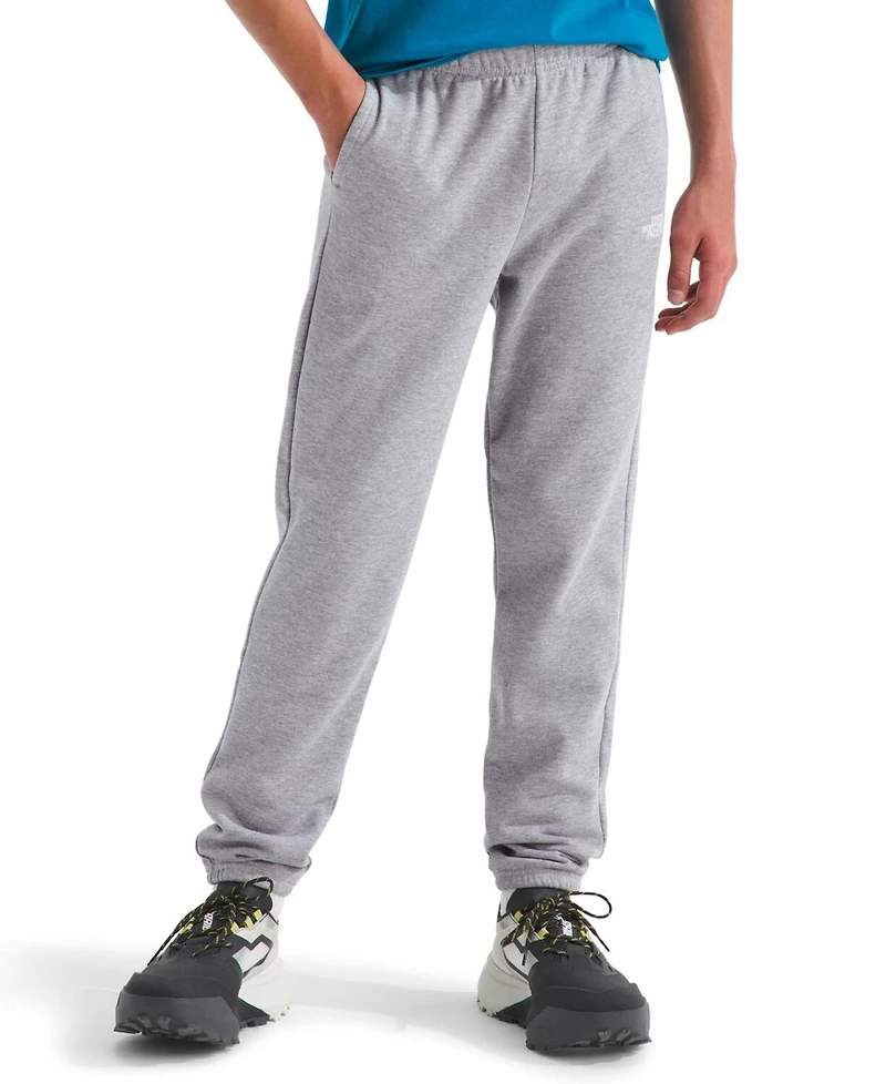 The North Face Big Boys Teen Evolution Pants