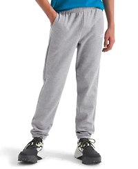 The North Face Big Boys Teen Evolution Pants