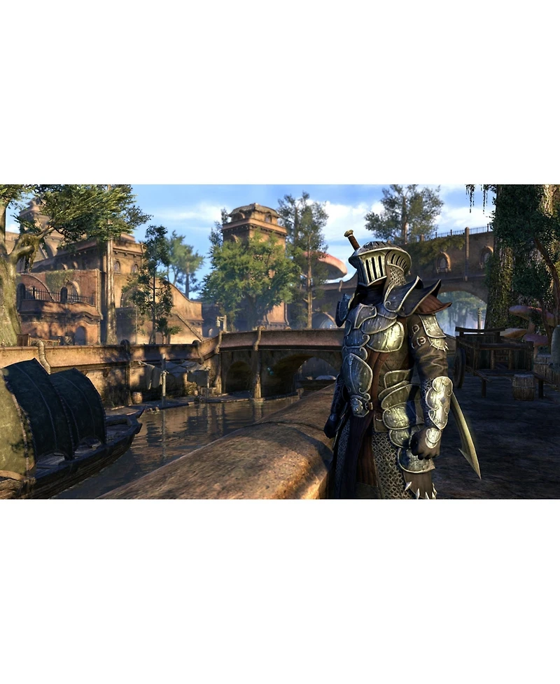 Bethesda The Elder Scrolls Online: Morrowind