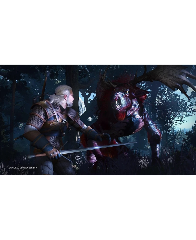 Warner Bros The Witcher 3: Wild Hunt Complete Edition
