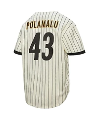 Mitchell & Ness Men's Troy Polamalu Cream Pittsburgh Steelers Name Number Mesh Button-Up Baseball Jersey