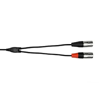 Hosa Technology 3' Rean 3.5mm Trs to Dual XLR3M 24 Awg Pro Stereo Breakout Cable