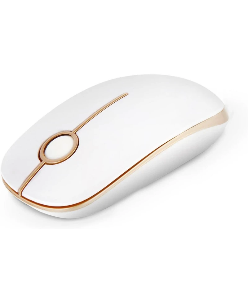 Risokeys Wireless Mouse, 2.4G Slim Portable Computer Mouse with Nano Receiver Quiet Silent Optical Laptop Mouse for Notebook, Pc